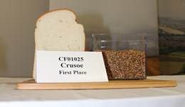 Milling Wheat Conference